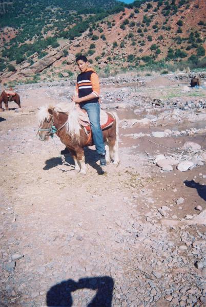 en coure  sur petit cheval